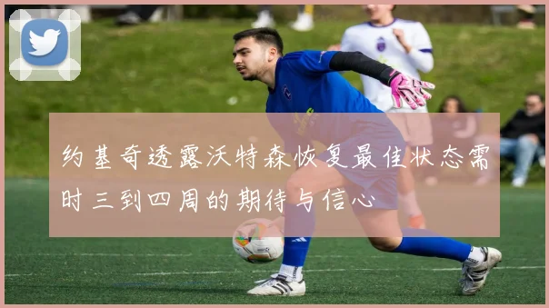 约基奇透露沃特森恢复最佳状态需时三到四周的期待与信心