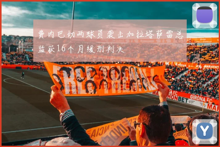 费内巴切两球员袭击加拉塔萨雷总监获16个月缓刑判决