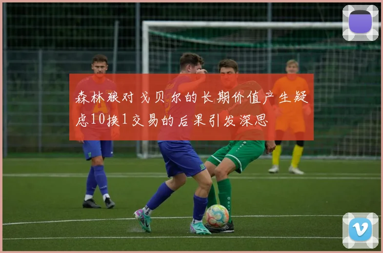 森林狼对戈贝尔的长期价值产生疑虑10换1交易的后果引发深思